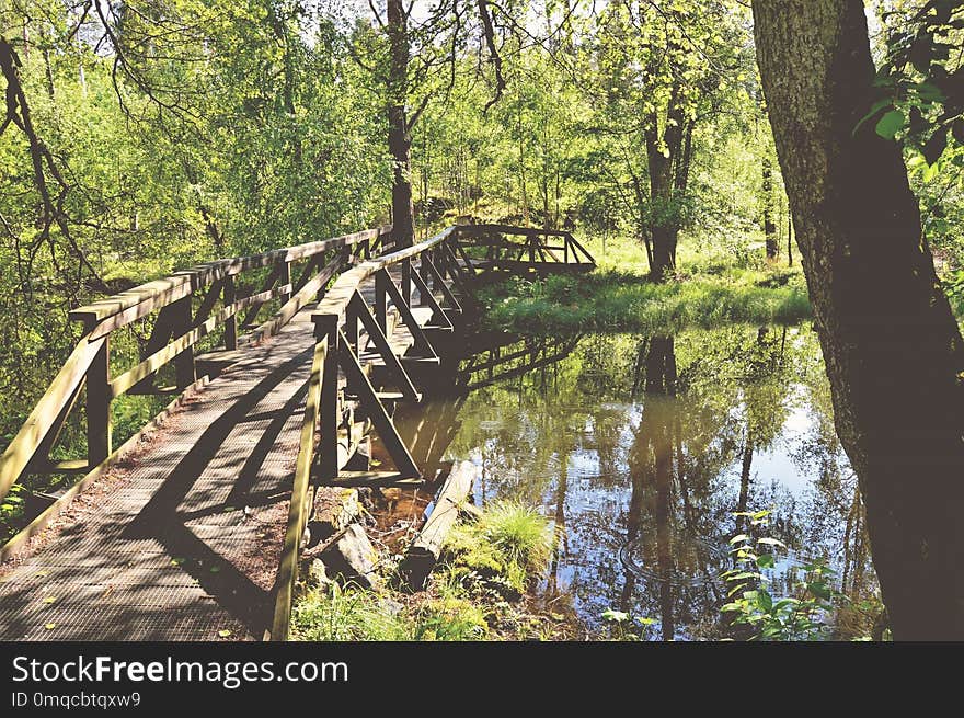 Nature Reserve, Path, Tree, Water