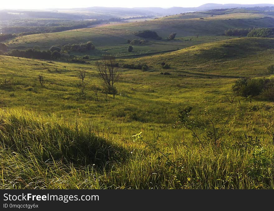 Grassland, Hill, Highland, Ecosystem