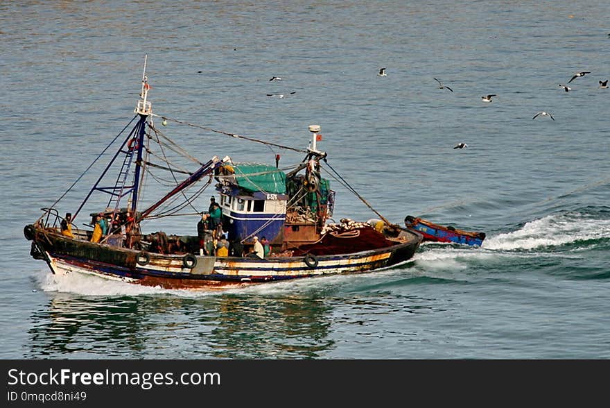 Boat, Water Transportation, Watercraft, Fishing Vessel