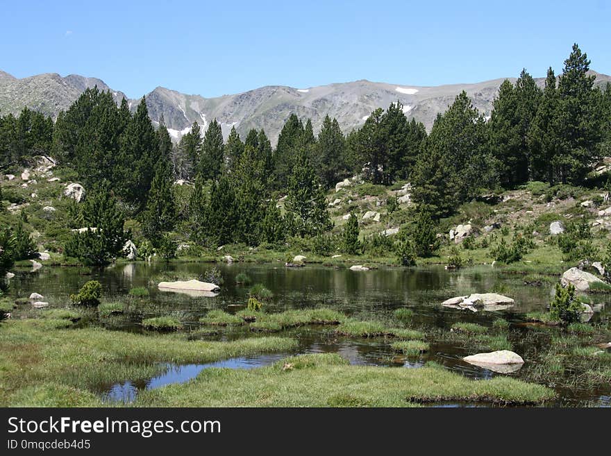 Tarn, Wilderness, Nature Reserve, Lake