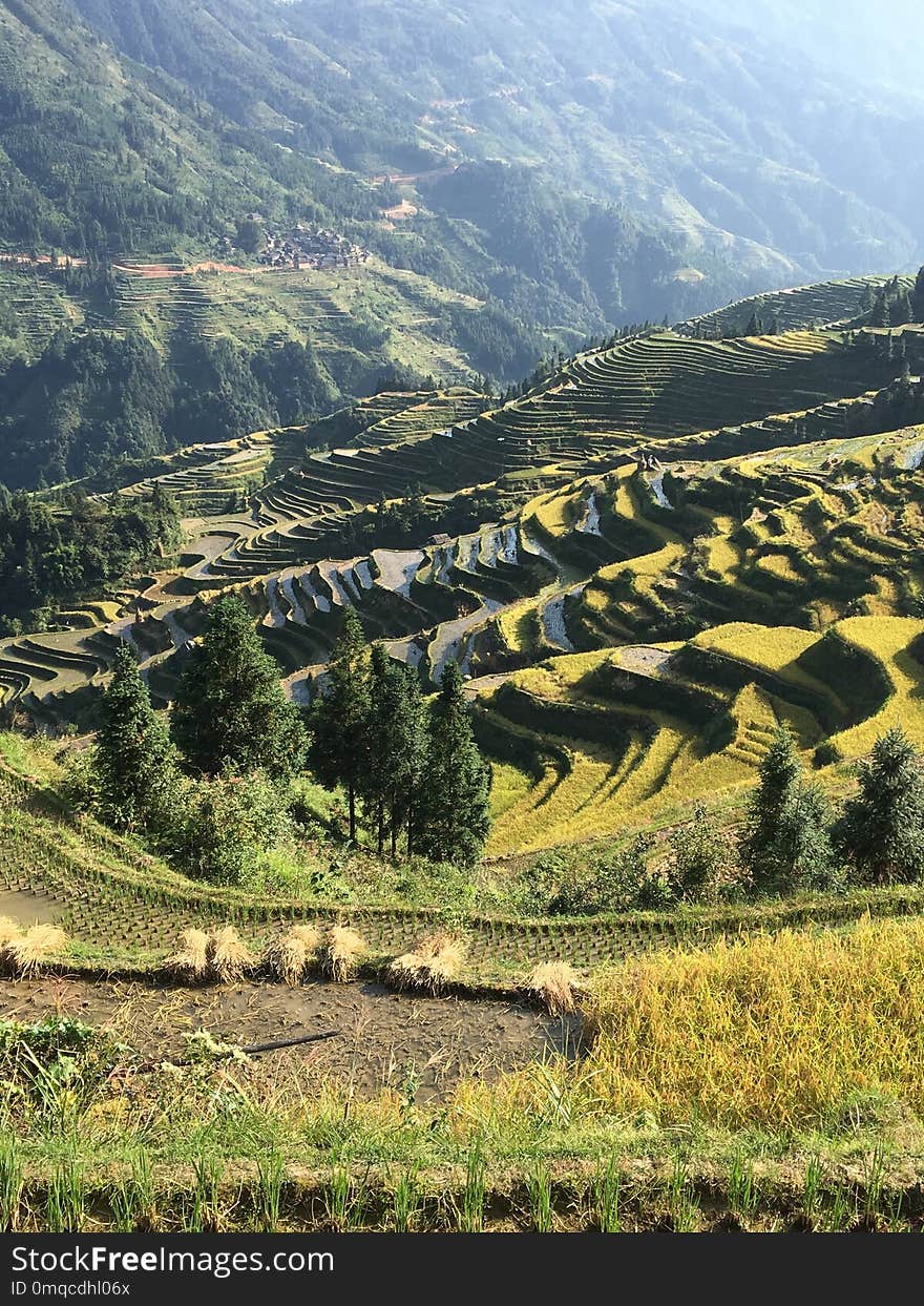 Vegetation, Agriculture, Terrace, Field