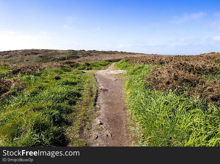 Vegetation, Path, Sky, Ecosystem