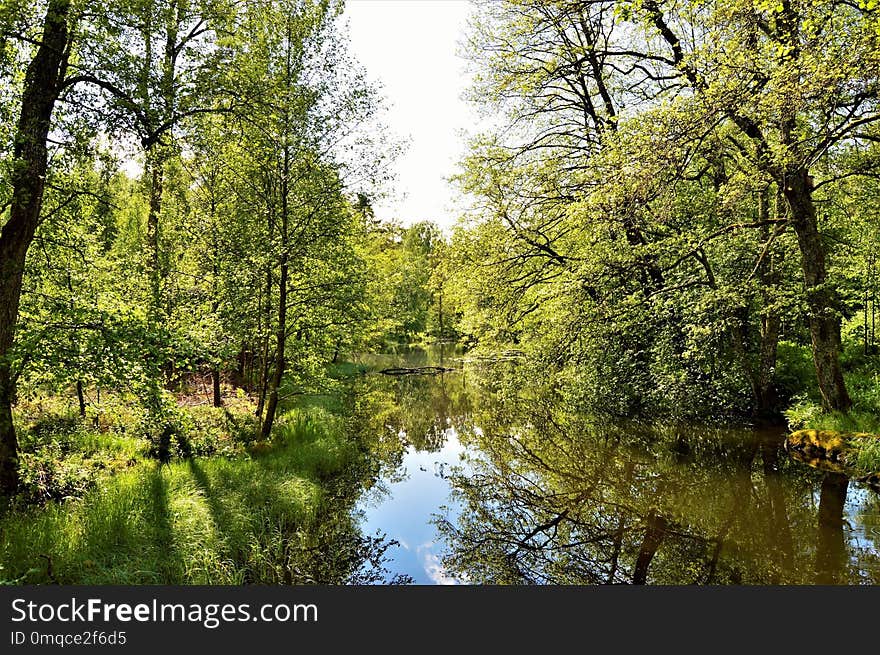 Reflection, Water, Nature, Waterway