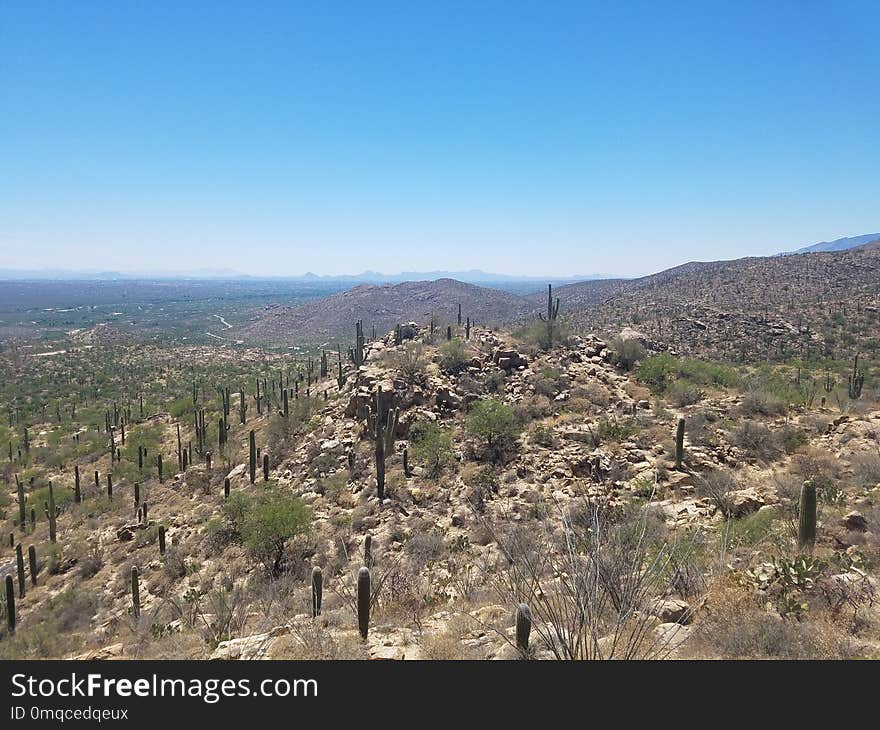 Chaparral, Ecosystem, Shrubland, Vegetation