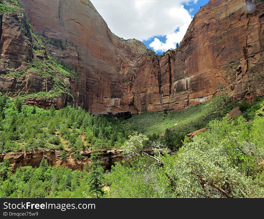 Nature Reserve, Vegetation, Wilderness, Ecosystem