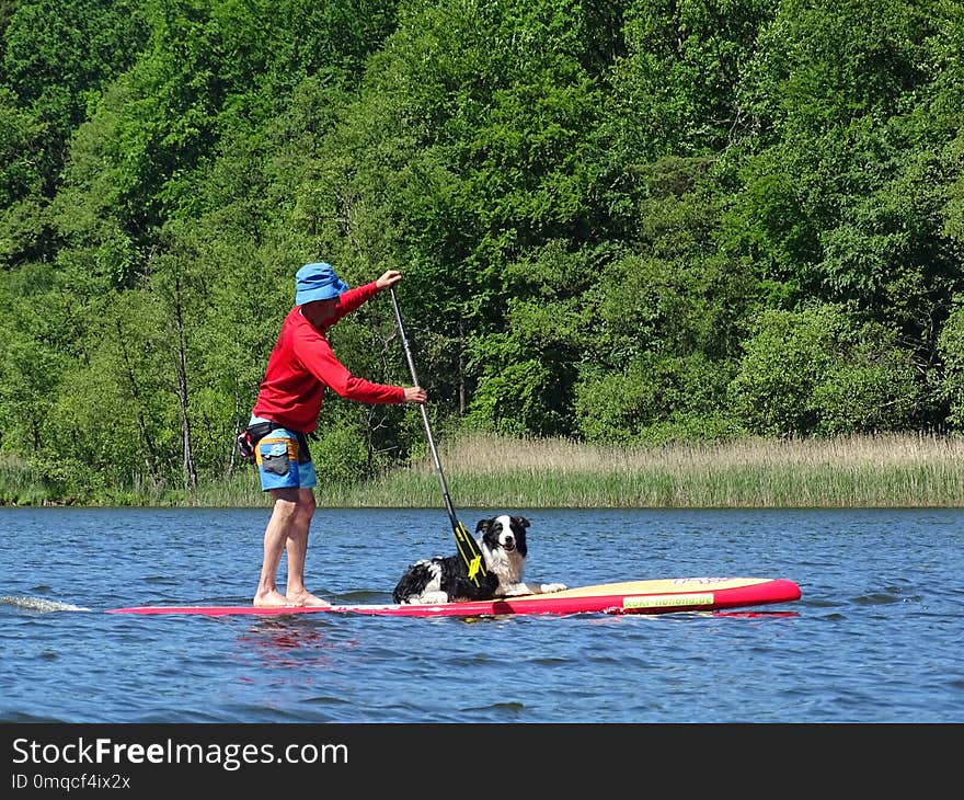 Water, Nature, Waterway, Canoeing