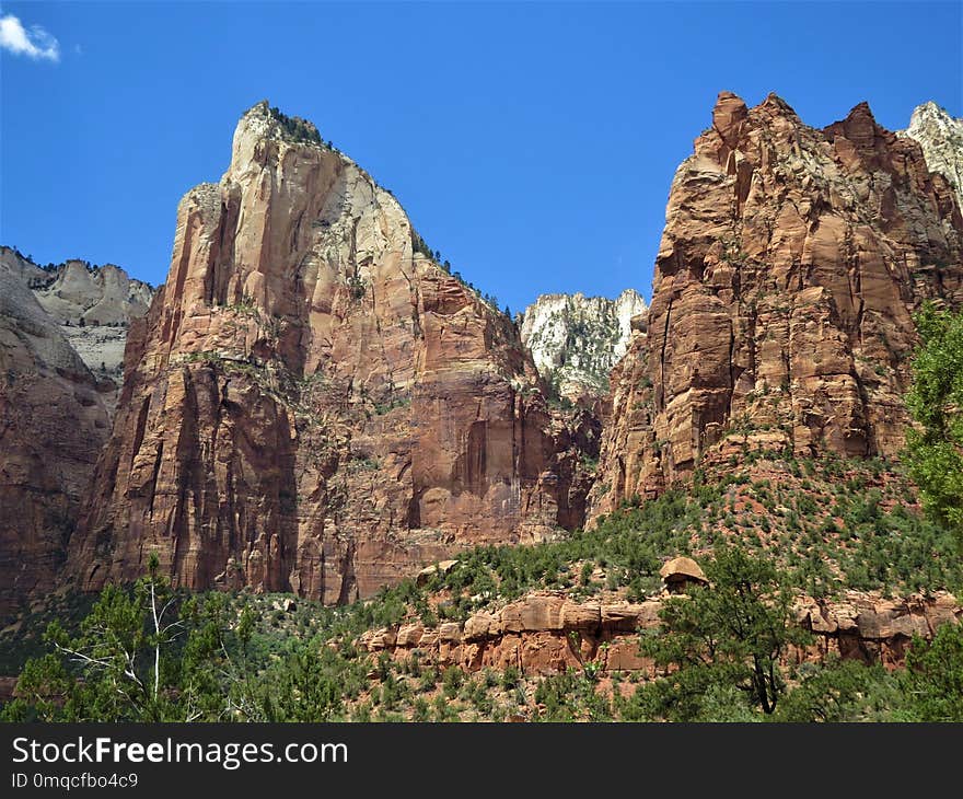 Rock, Nature Reserve, Vegetation, Ecosystem