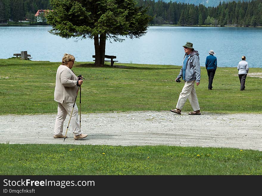 Water, Nature, Leisure, Grass