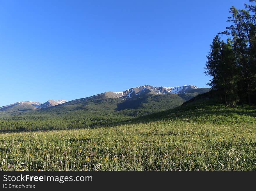 Grassland, Ecosystem, Mountainous Landforms, Wilderness