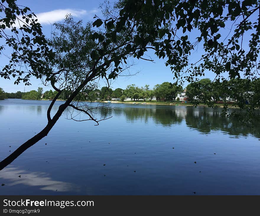 Reflection, Water, Nature, Tree