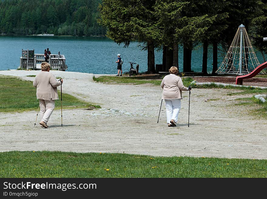 Water, Green, Leisure, Plant