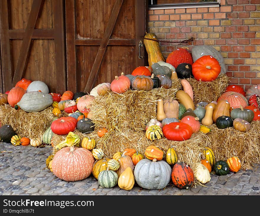 Vegetable, Winter Squash, Cucurbita, Produce