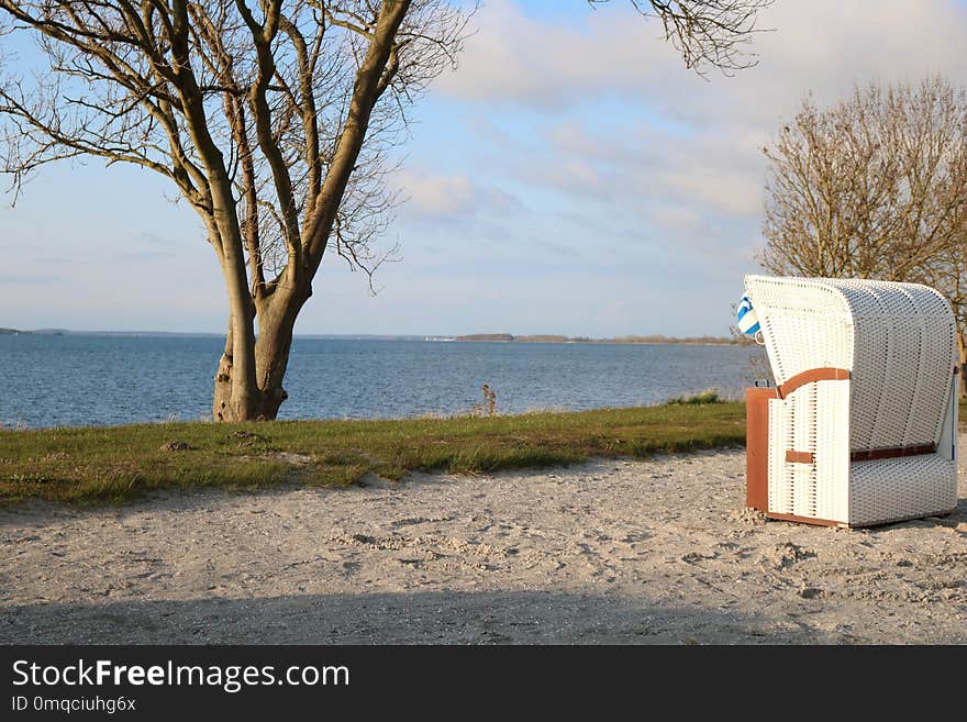 Sky, Shore, Beach, Tree