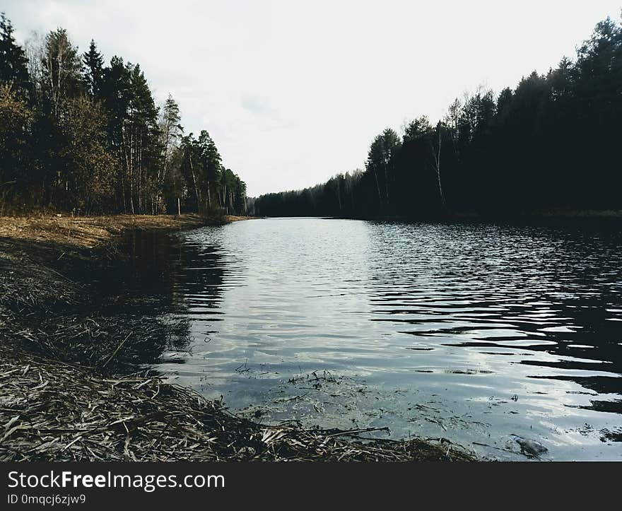 Water, Body Of Water, Reflection, River