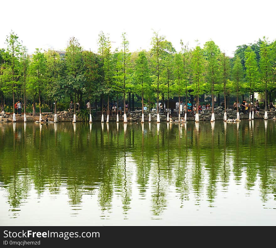 Reflection, Water, Nature, Waterway