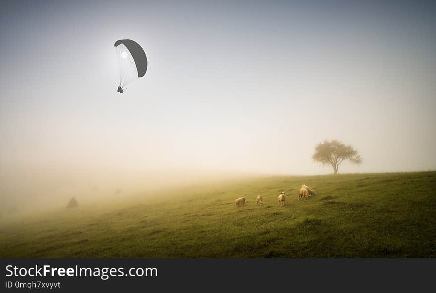 Paraglider silhouette over carpathian mountains in a deep fog.