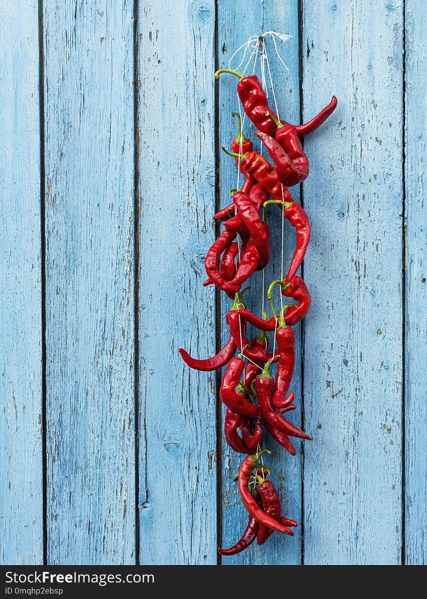 Red raw ripe hot chili peppers hanging on a rope, blue old wooden background, copy space