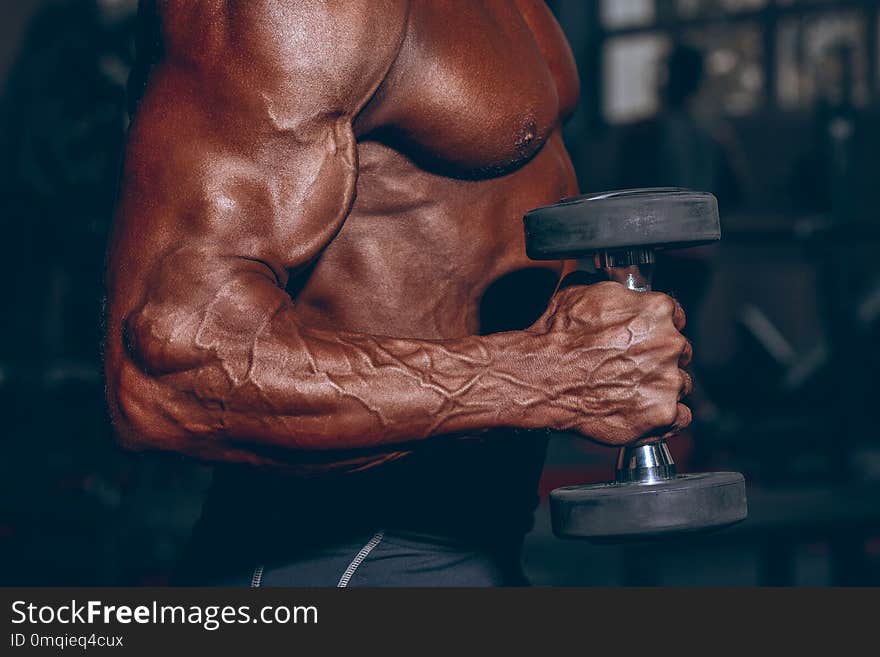 Man in gym. Muscular bodybuilder guy doing exercises with dumbbell. Strong person with Tense male hand with veins