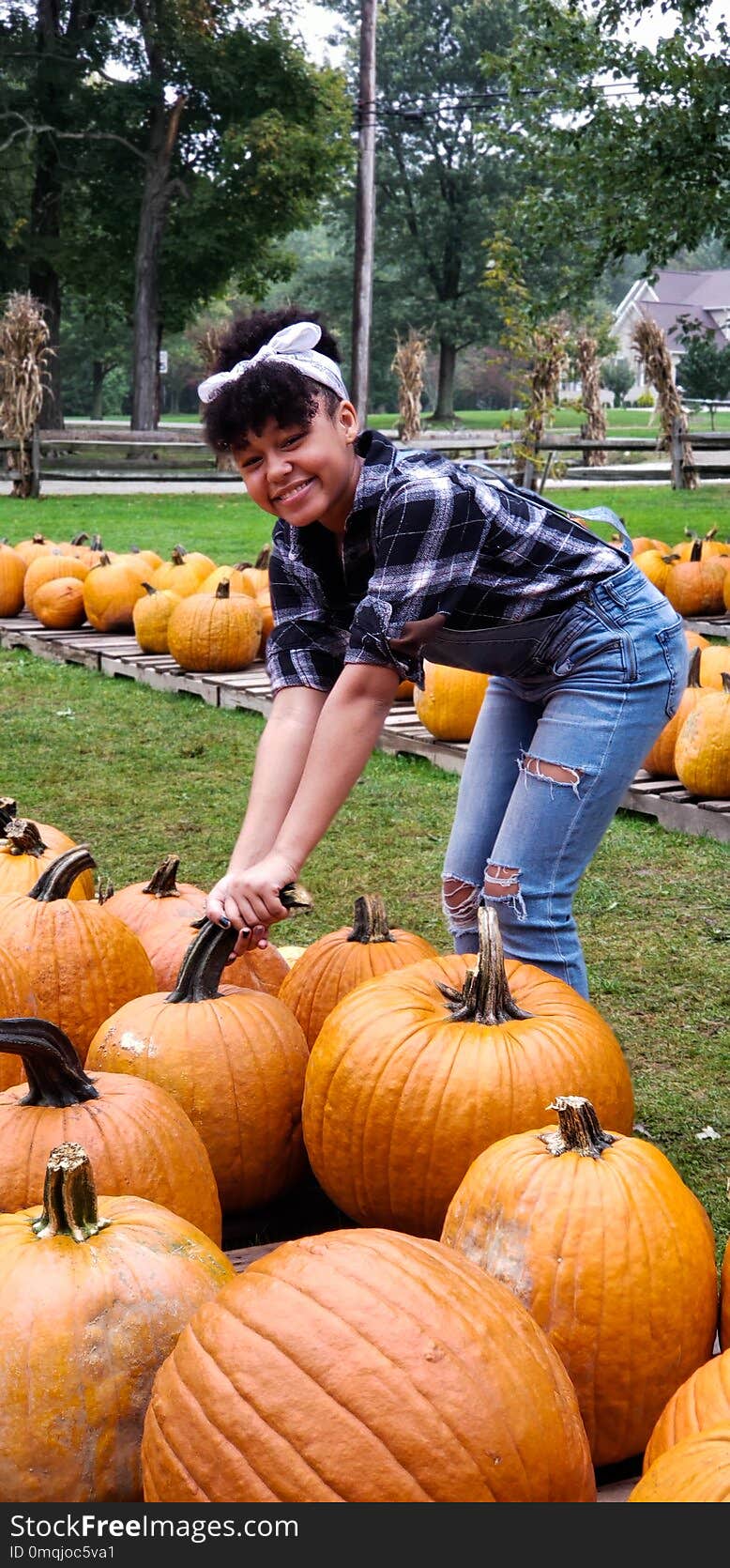 Teen girl picking up a pumpkin in a pumpkin patch in Cleveland, Ohio