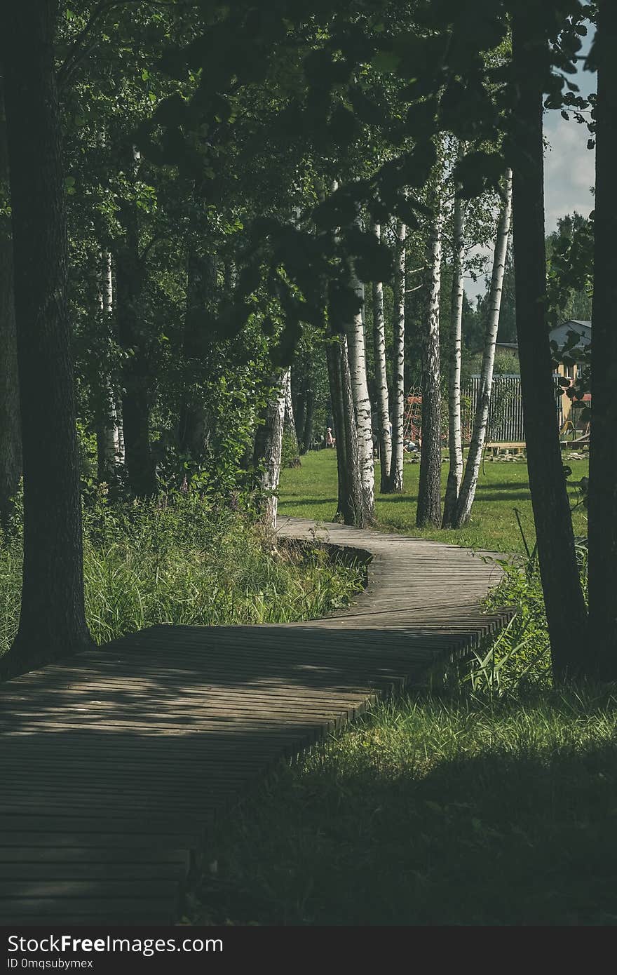 wooden footpath in the bog - vertical, mobile device ready image