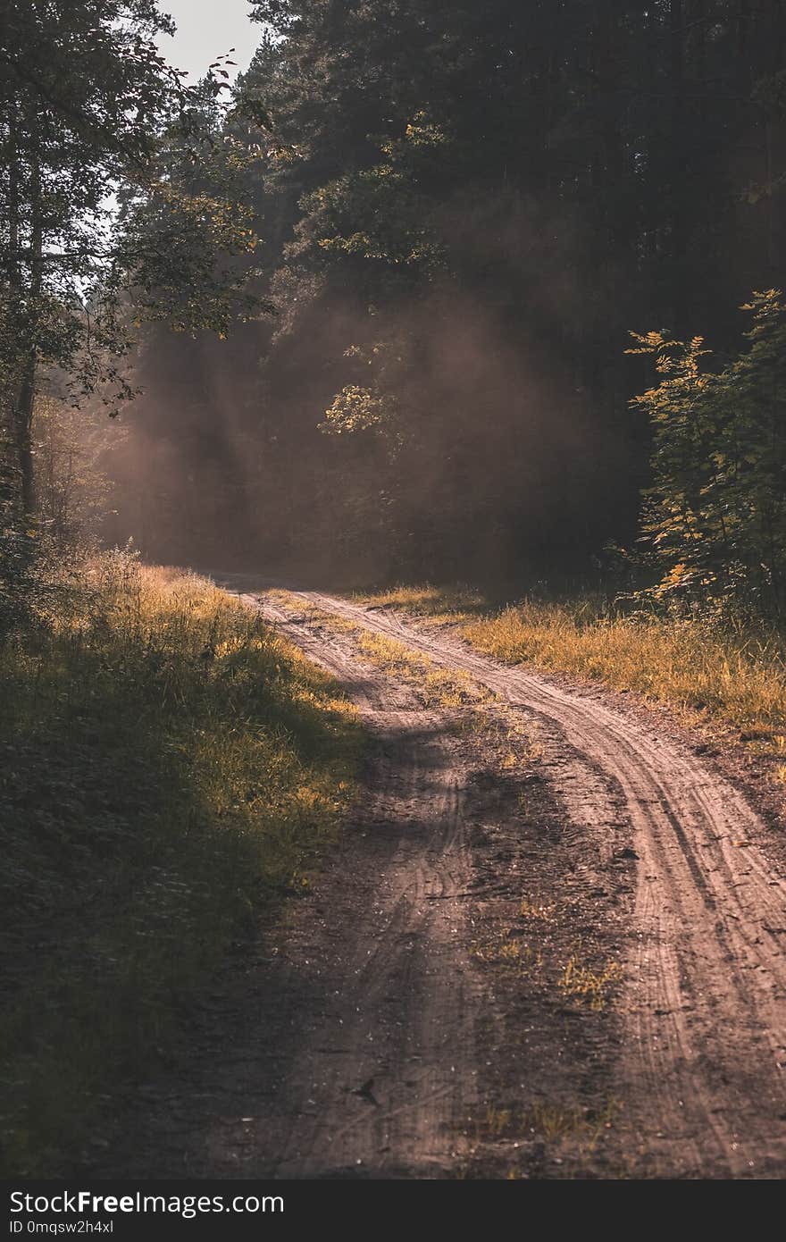 simple country gravel road in summer at countryside forest with trees around and clouds in the sky - vintage retro look. simple country gravel road in summer at countryside forest with trees around and clouds in the sky - vintage retro look