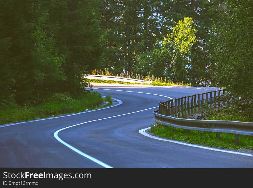 asphalted road leading up to the mountains in forest - vintage r