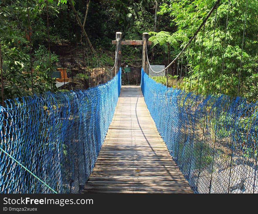 Nature Reserve, Bridge, Suspension Bridge, Path