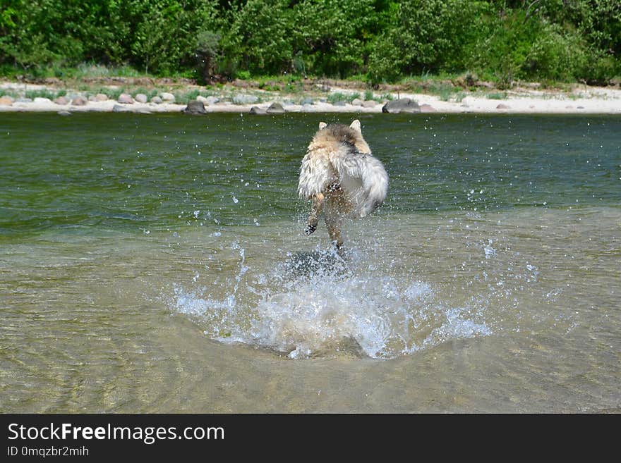 Water, Water Resources, River, Bank