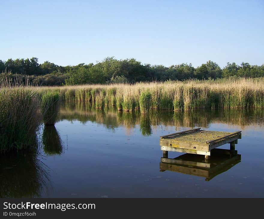 Reflection, Water, Wetland, Nature Reserve