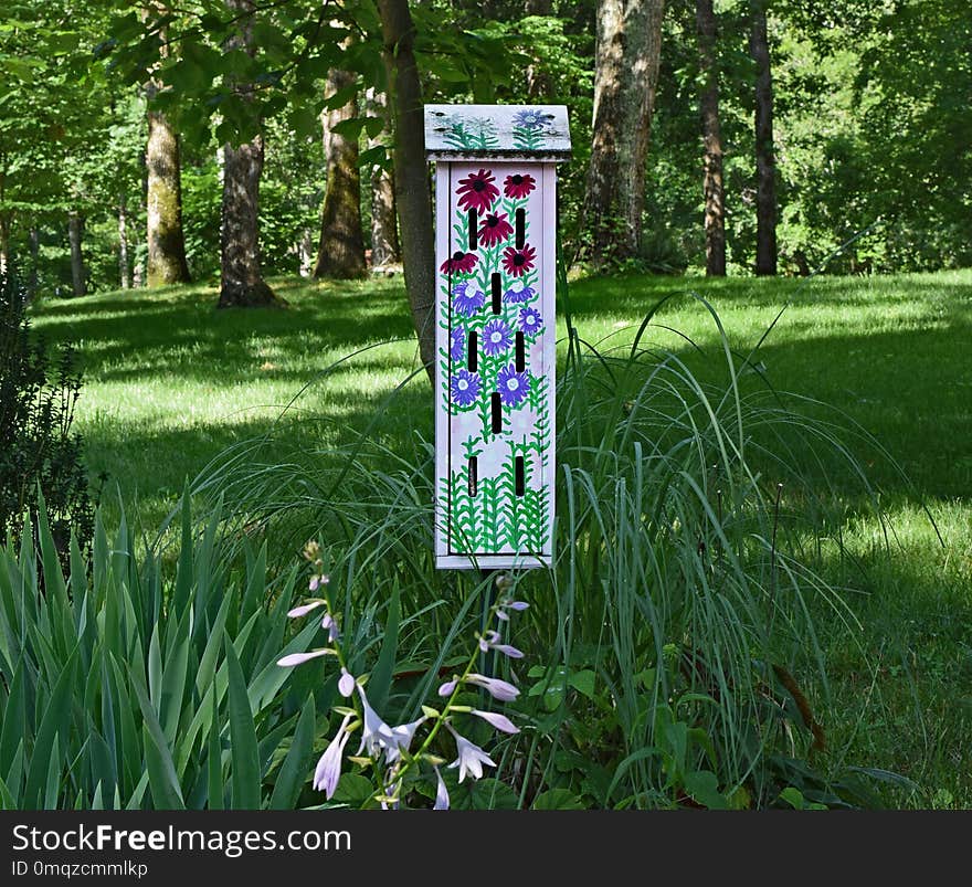 Nature Reserve, Flora, Grass, Meadow