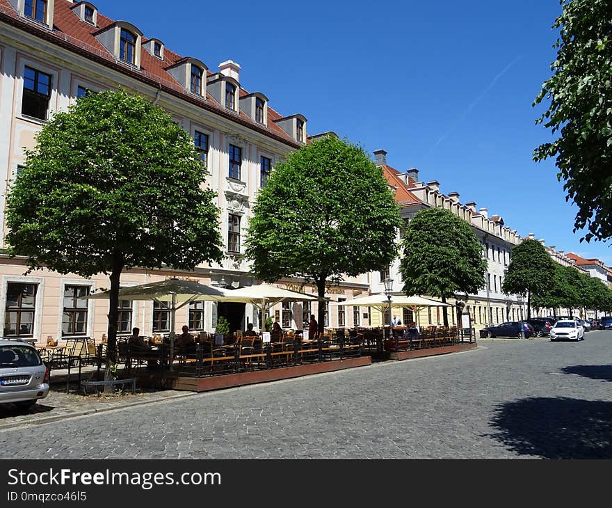 Town, Property, Neighbourhood, Tree