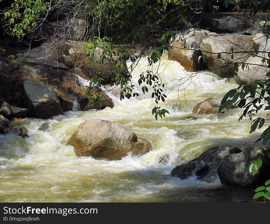 Water, Nature, Stream, Watercourse