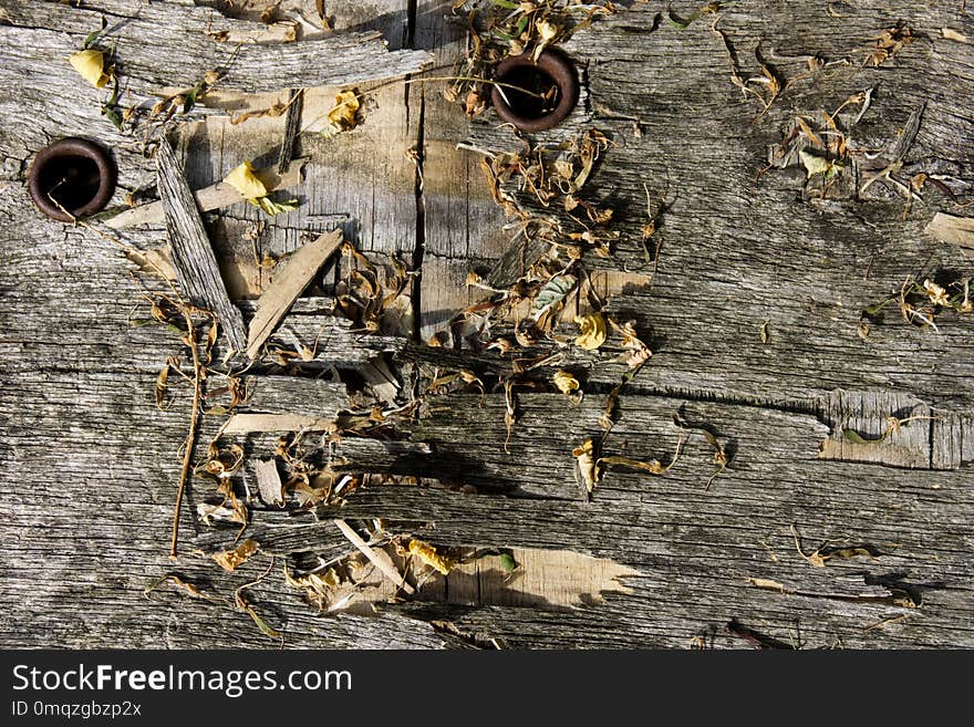 Water, Wood, Metal, Tree