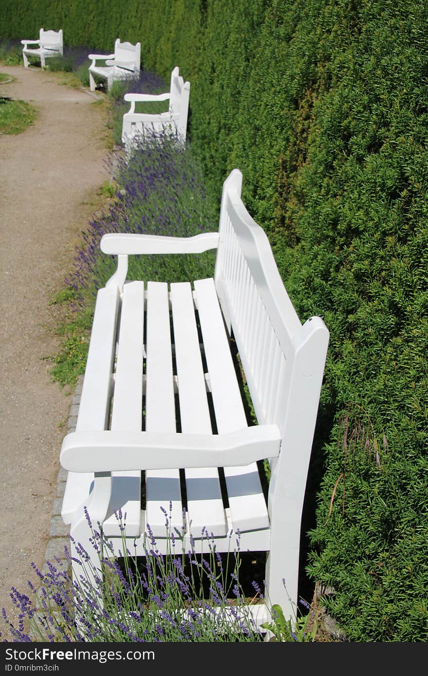 Furniture, Bench, Chair, Outdoor Furniture