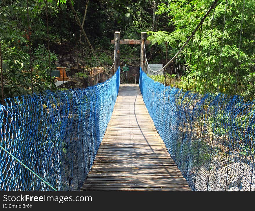 Nature Reserve, Bridge, Suspension Bridge, Path