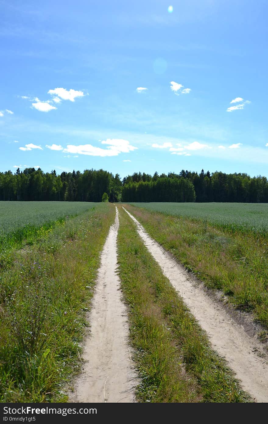 Road, Sky, Field, Path