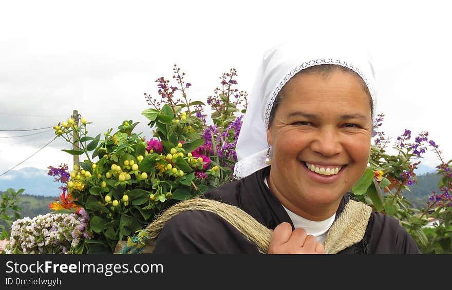 Flower, Plant, Purple, Flower Arranging