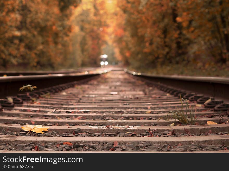 Railway going away trough beautiful autumn woods