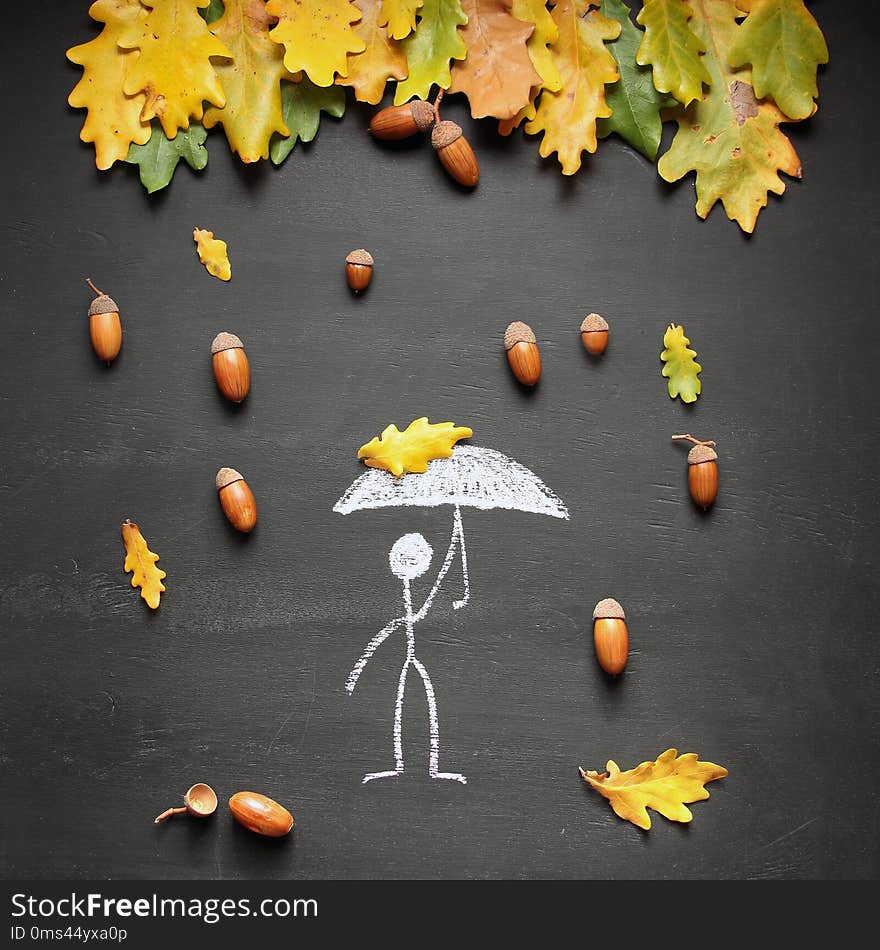 Chalk drawing man with umbrella under acorn rain from oak tree. Blackboard or chalkboard background. Autumn or fall concept. Square. Flatlay.