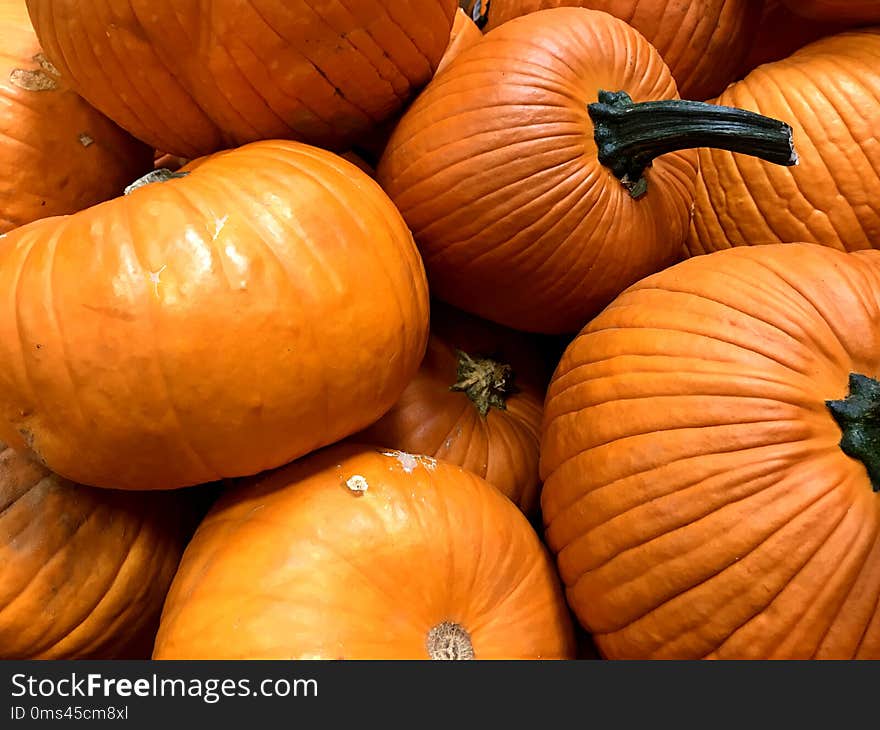 PUMPKIN, Orange, Fall Harvest, Thanksgiving, Medium size