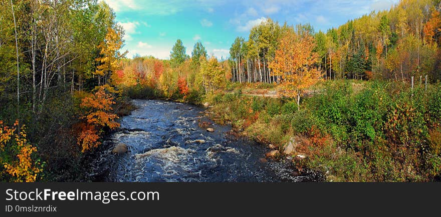 Nature, Ecosystem, Nature Reserve, Wilderness