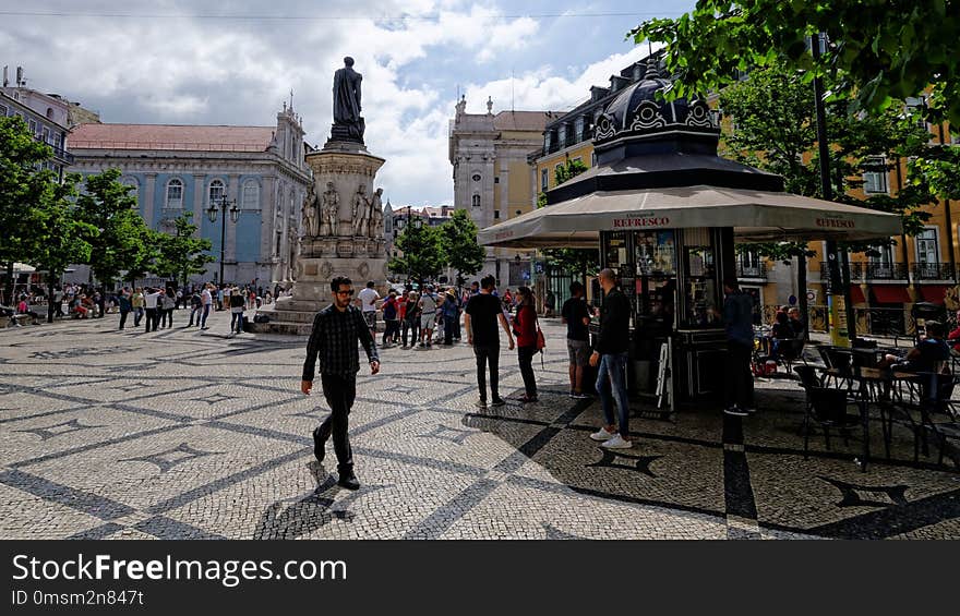 Town, City, Public Space, Tree