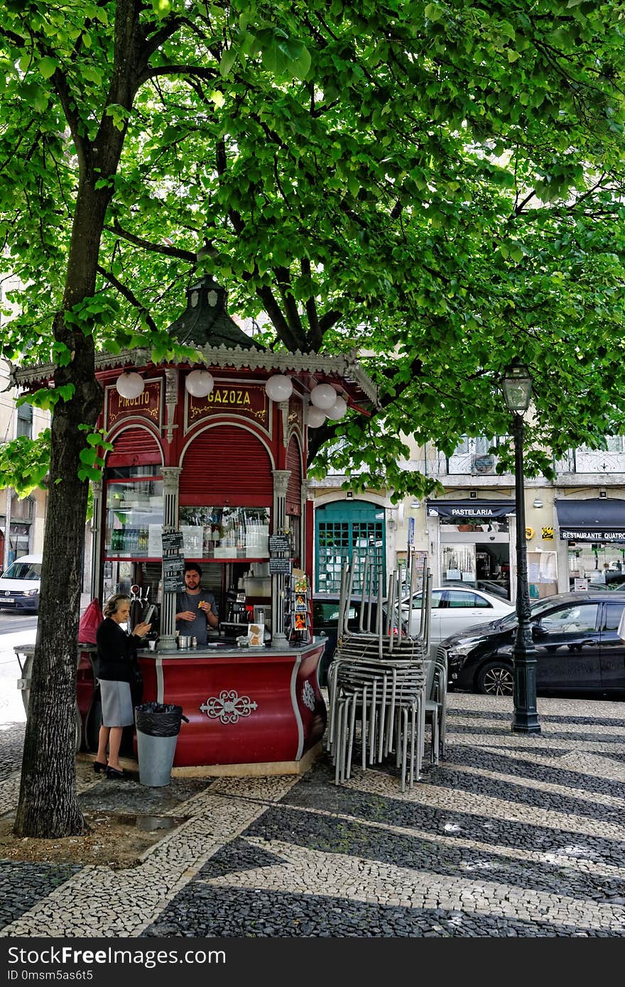 Public Space, Tree, Woody Plant, Plant