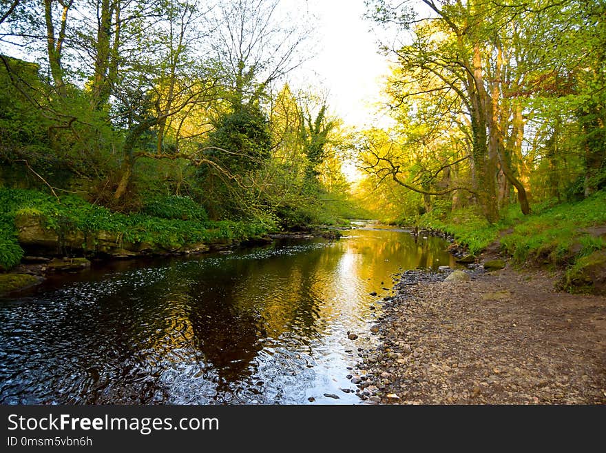 Water, Waterway, Nature, Reflection