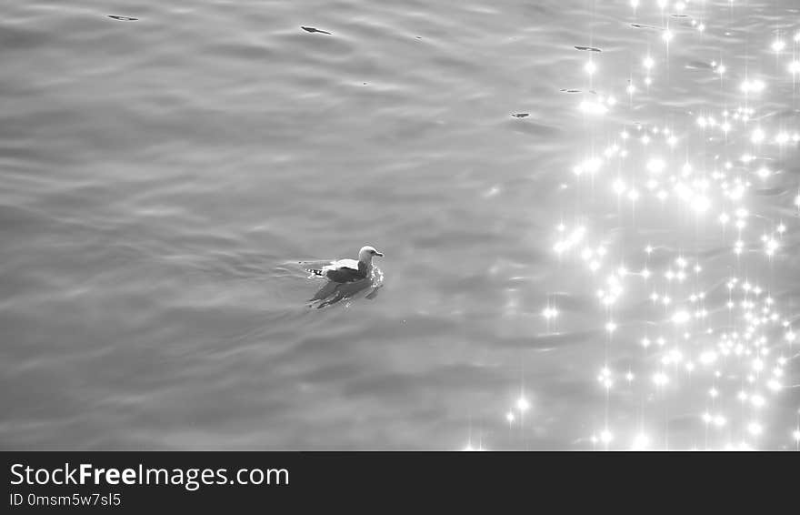 Water, Black And White, Monochrome Photography, Sky