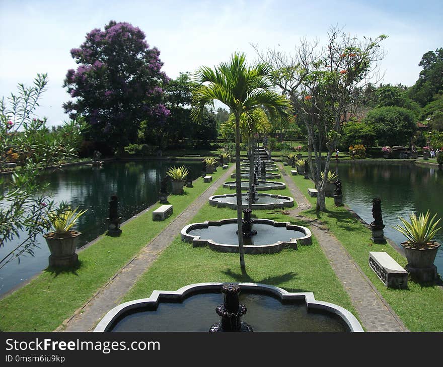 Nature, Plant, Water, Waterway