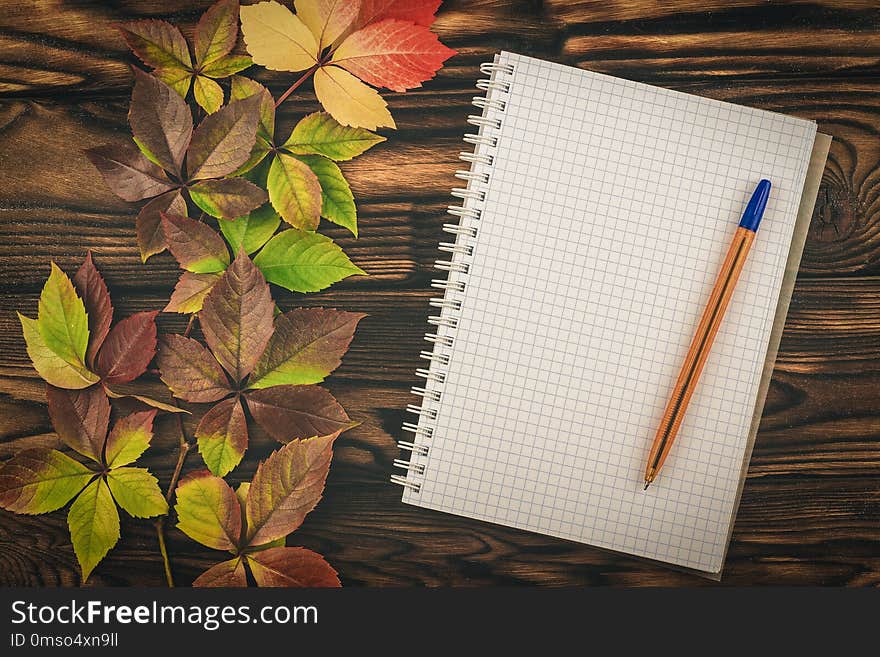 Notepad and pen with autumn leaves on a wooden table. Letter.