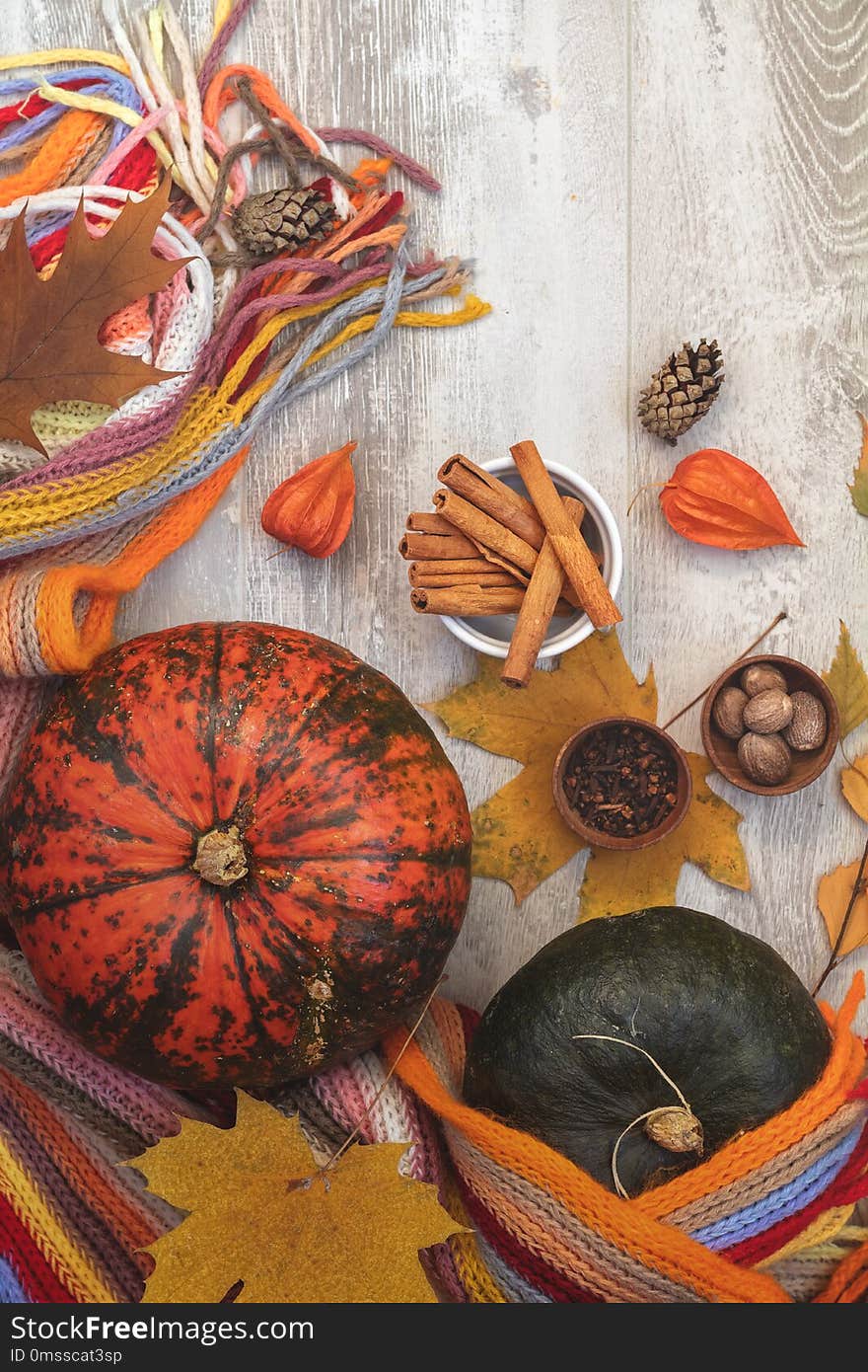 Green and orange Pumpkin, persimmons, ingredients, decorations