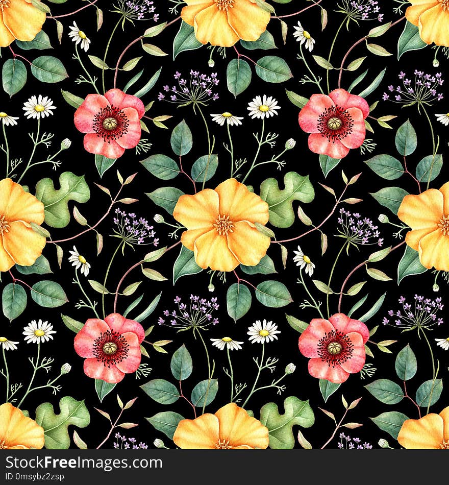 Seamless floral pattern with wildflowers and herbs: poppy, chamomile, and others. Hand drawn watercolor illustration for fabric, wrapping, wallpapers and other design. Botanical print on black background. Seamless floral pattern with wildflowers and herbs: poppy, chamomile, and others. Hand drawn watercolor illustration for fabric, wrapping, wallpapers and other design. Botanical print on black background.