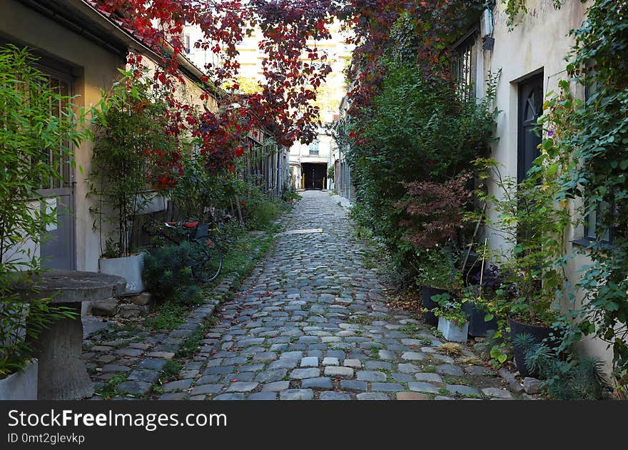 The picturesque secret Durmar street in Obercampf district of Paris, France. The picturesque secret Durmar street in Obercampf district of Paris, France.